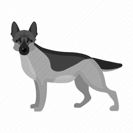 Animal, breed, dog, domestic, mammal, pet, shepherd icon - Download on Iconfinder
