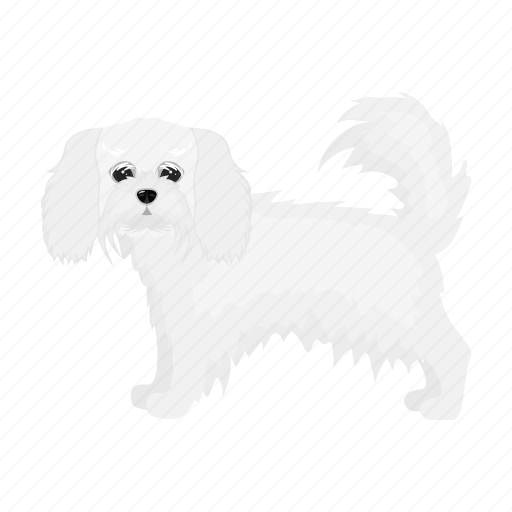 Animal, breed, dog, domestic, lapdog, mammal, pet icon - Download on Iconfinder