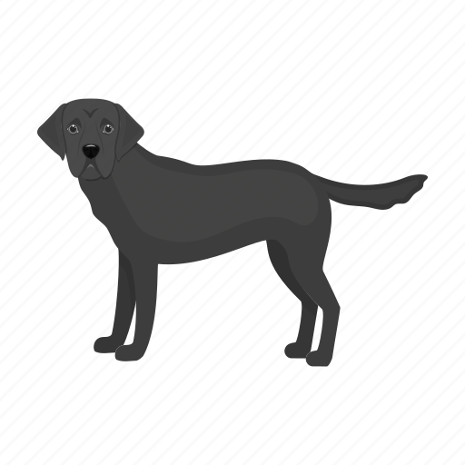 Animal, breed, dog, domestic, labrador, mammal, pet icon - Download on Iconfinder