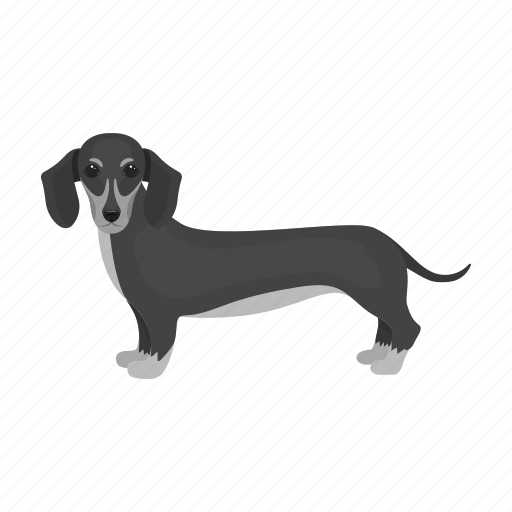 Animal, breed, dachshund, dog, domestic, mammal, pet icon - Download on Iconfinder