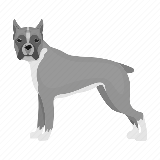 Animal, boxer, breed, dog, domestic, mammal, pet icon - Download on Iconfinder