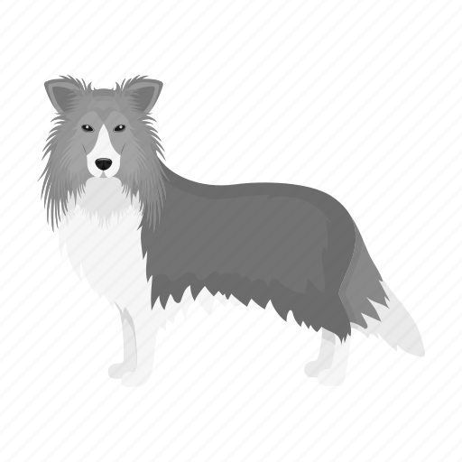Animal, breed, collie, dog, domestic, mammal, pet icon - Download on Iconfinder