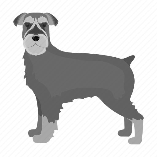 Animal, breed, dog, domestic, mammal, pet, rizenschnauzer icon - Download on Iconfinder
