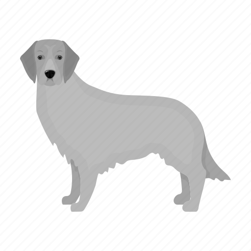 Animal, breed, dog, domestic, mammal, retriever icon - Download on Iconfinder