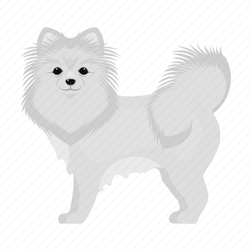 Animal, breed, dog, domestic, mammal, pet, spitz icon - Download on Iconfinder