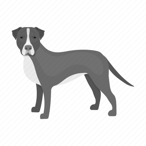 Animal, breed, dog, domestic, mammal, pet, staffordshire icon - Download on Iconfinder