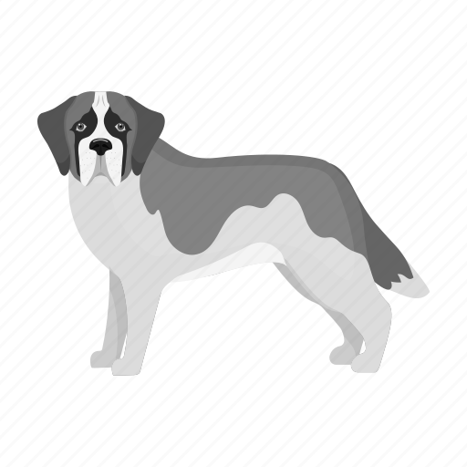 Animal, breed, dog, domestic, mammal, pet, st. bernard icon - Download on Iconfinder