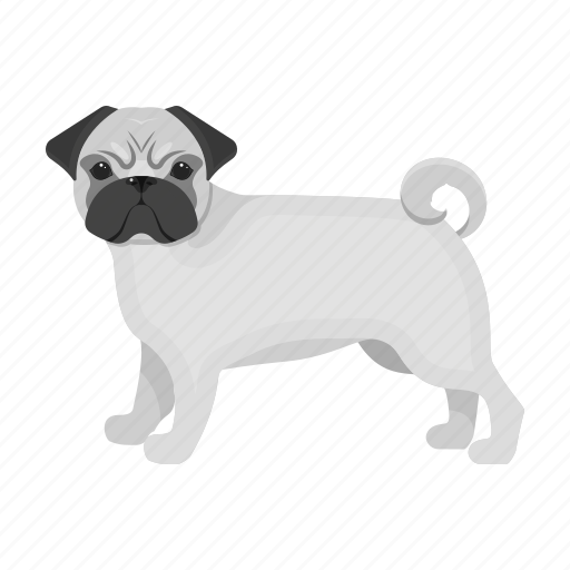 Animal, breed, dog, domestic, mammal, pet, pug icon - Download on Iconfinder