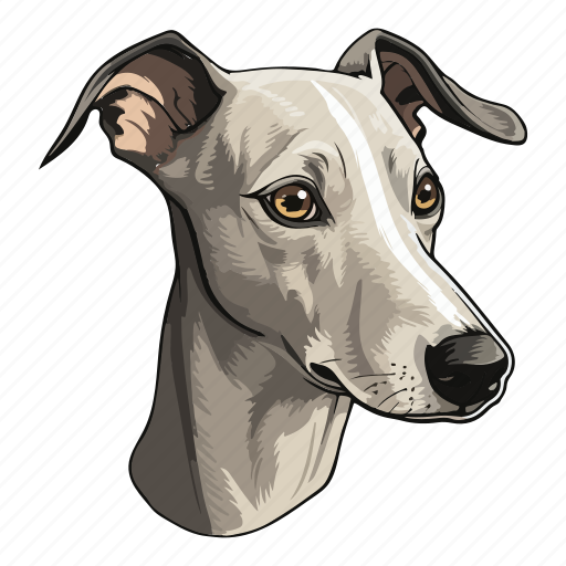 Dog, pet, puppy, animal, breed, italian greyhound, greyhound icon - Download on Iconfinder