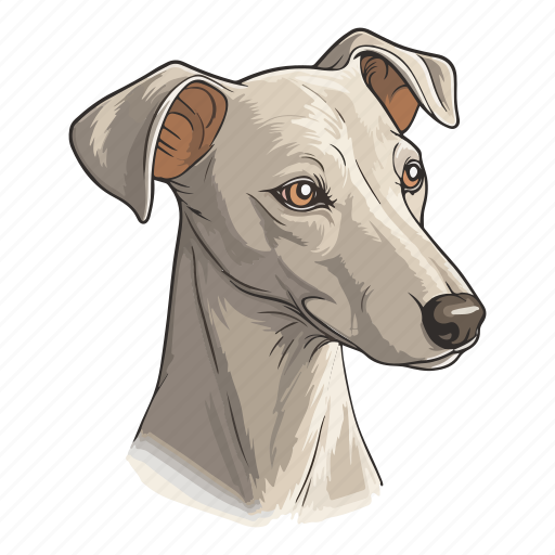 Dog, pet, puppy, animal, breed, italian greyhound, greyhound icon - Download on Iconfinder