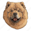 dog, pet, puppy, animal, breed, chow chow, canine 