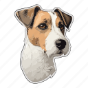 dog, pet, puppy, animal, breed, jack russell terrier, terrier