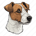 dog, pet, puppy, animal, breed, jack russell terrier, terrier