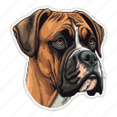 dog, pet, puppy, animal, breed, boxer, canine