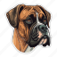 dog, pet, puppy, animal, breed, boxer, canine 