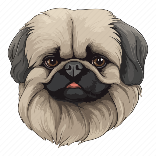 Dog, pet, puppy, animal, breed, pekingese, cute icon - Download on Iconfinder