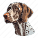 dog, pet, puppy, animal, breed, shorthaired pointer, pointer
