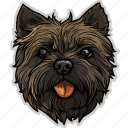 dog, pet, puppy, animal, breed, canine, cairn terrier