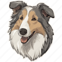 dog, pet, puppy, animal, breed, canine, collie dog