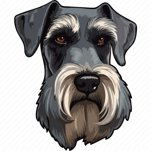 Dog, pet, puppy, animal, breed, canine, mittelschnauzer icon - Download on Iconfinder