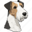 fox terrier, dog, pet, puppy, animal, breed, canine 