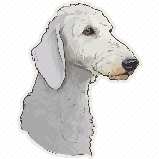 Dog, pet, puppy, animal, breed, canine, bedlington terrier icon - Download on Iconfinder