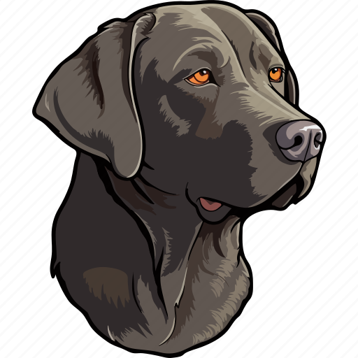 Dog, pet, puppy, animal, breed, canine, labrador icon - Download on Iconfinder