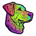 neon, pet, dog, funky, party, animal, colourful