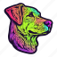neon, pet, dog, funky, party, animal, colourful 