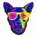 dog, puppy, party, colourful, motley, neon, sunglasses
