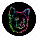 neon, dog, puppy, funky, colourful, night, disco