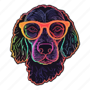 neon, poodle, dog, puppy, disco, glasses, colourful
