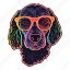 neon, poodle, dog, puppy, disco, glasses, colourful 