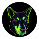 neon, pet, dog, funny, funky, party, colourful dog