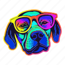 neon, dog, funky, glasses, party, colourful, puppy