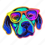 neon, dog, funky, glasses, party, colourful, puppy 
