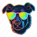 dog, puppy, disco, colourful, motley, neon, sunglasses