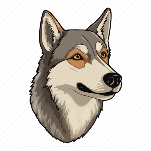 Dog, puppy, siberian, laika, husky, breed, pet icon - Download on Iconfinder