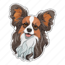 papillon, dog, pet, puppy, animal, breed, canine