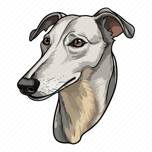 Breed, dog, puppy, greyhound, animal, pet, avatar icon - Download on Iconfinder