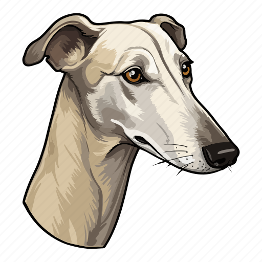 Canine, greyhound, pet, animal, breed, dog, puppy icon - Download on Iconfinder