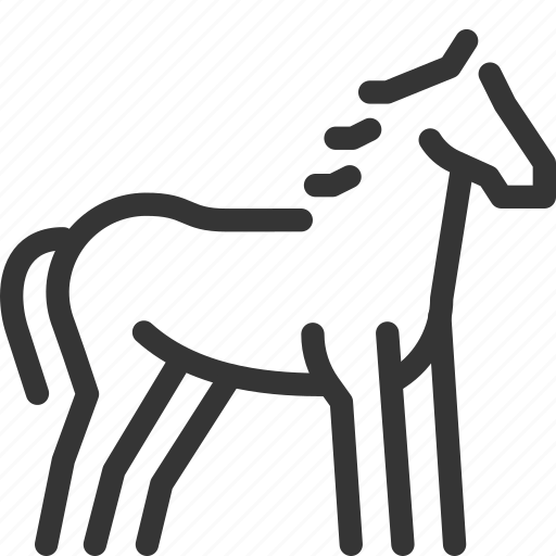 Horse, equine, steed, mount, stallion, colt, mare icon - Download on Iconfinder