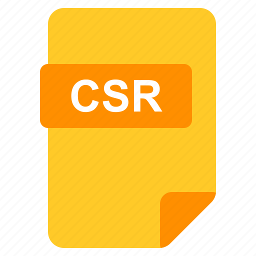 Csr, file, format, type icon - Download on Iconfinder
