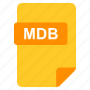 file, format, mdb, type