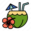 cocktail, coconut, fruit, juice, beach, hawaii, summer, drink, coconut water