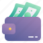wallet, payment, cash, banknote, balance 