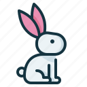 bunny, easter, rabbit