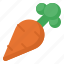 carrot, healthy, vegetable 