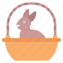 basket, bunny, chocolate, rabbit
