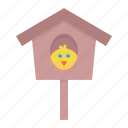birdhouse, chicken, nest, spring